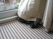 14th Apr 2012 - Jinks' opinion of the weather today