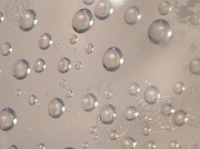 14th Apr 2012 - Drip drop