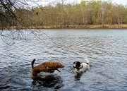 14th Apr 2012 - Fun in the lake