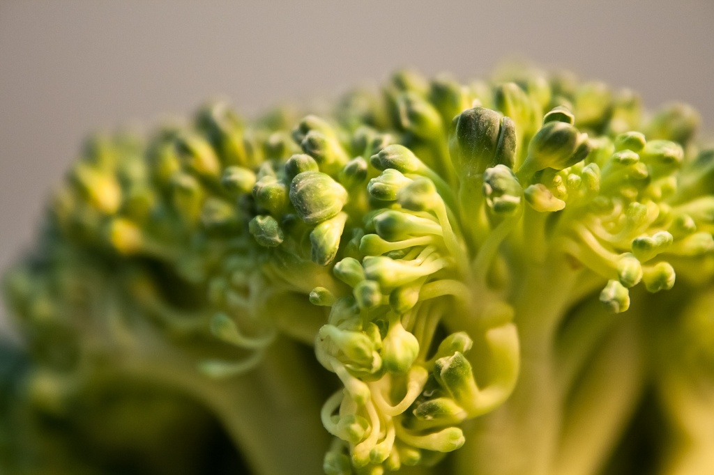 broccoli by peadar
