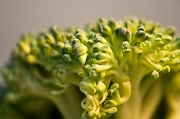 14th Apr 2012 - broccoli