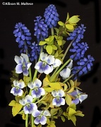 14th Apr 2012 - Spring Bouquet
