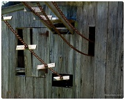 13th Apr 2012 - Weathered wood.  Rusty chains.  Life is good.