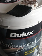 7th Apr 2012 - Dulux - Lifesavers!