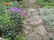 15th Apr 2012 - Up the garden path