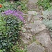 Up the garden path by rosiekind