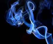 15th Apr 2012 - Smokin'