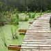 swampy bridge 5 by myhrhelper