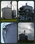 10th Apr 2012 - Farm
