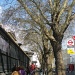 London Town Trees by moominmomma