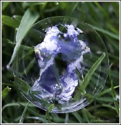 16th Apr 2012 - 16.4.12 Bubble trouble