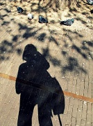 16th Apr 2012 - Shadow