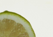 16th Apr 2012 - Lemon