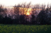 16th Apr 2012 - Another sunset