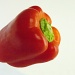 Red Pepper (Magnify to see noise) by netkonnexion