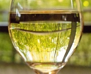 13th Apr 2012 - The world looks different through a glass of wine