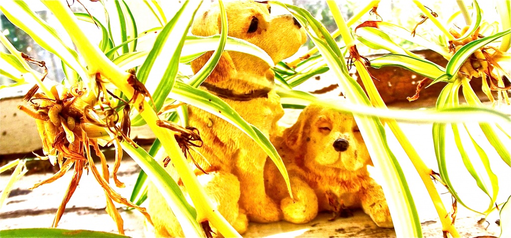 Dogs in the Undergrowth by maggiemae
