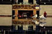 16th Apr 2012 - Gulls at Cabot Place