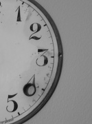 16th Apr 2012 - Tick Tock not