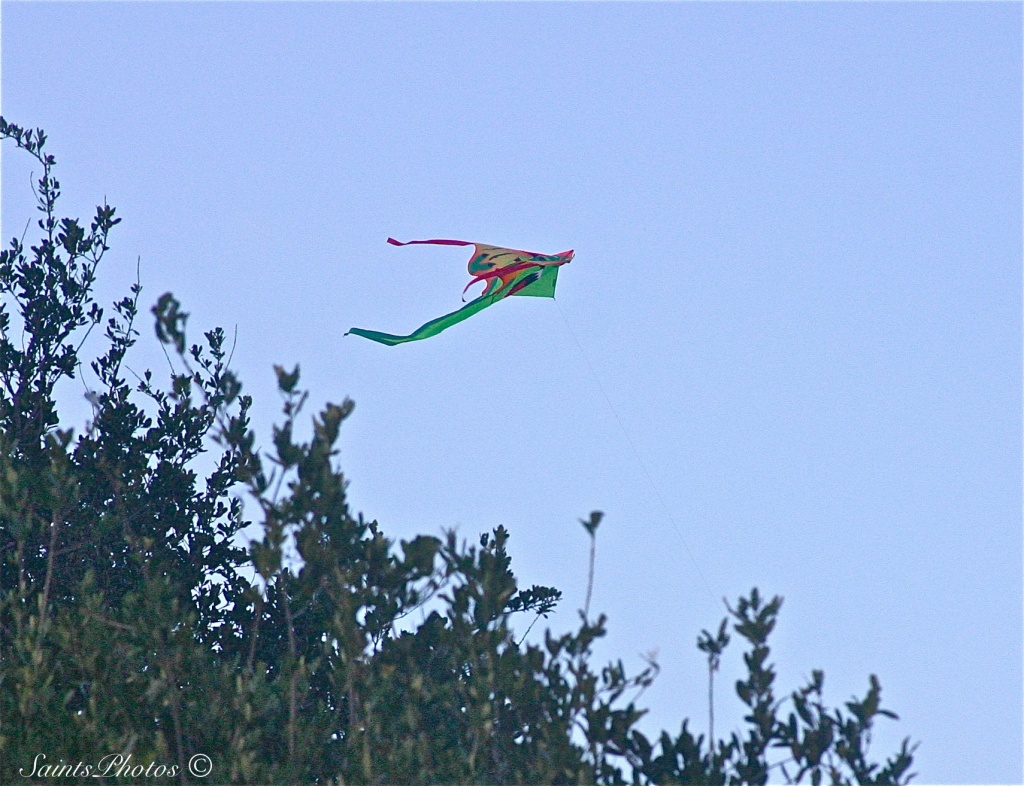 Go fly a kite... by stcyr1up