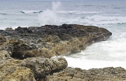 17th Apr 2012 - Ocean Spray