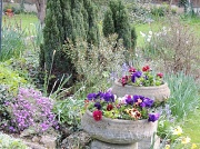 17th Apr 2012 - My garden