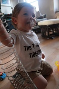 18th Apr 2012 - The T is for Tiberius