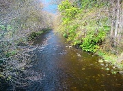 17th Apr 2012 - River Tavy    