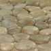 Tile, Granite, Stones oh my! by tara11
