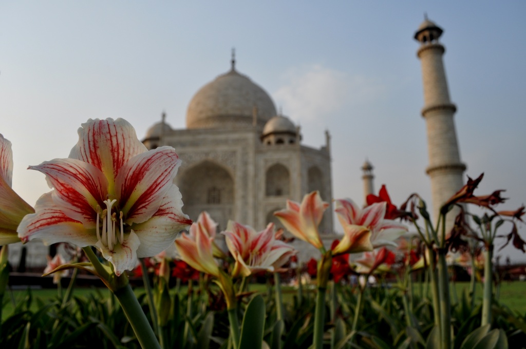 The Taj by andycoleborn
