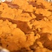Cookie Brownies 4.17.12 by sfeldphotos