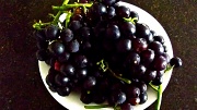 20th Apr 2012 - Grape Glut