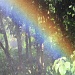 I can see a rainbow! water, lights, camera, action, mark IV by sugarmuser