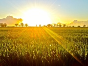 15th Apr 2012 - Sunset across the fields