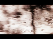 19th Apr 2012 - April Showers