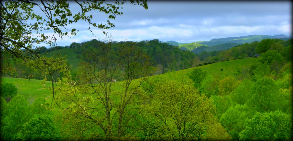 Spring Green in the Mountains by calm