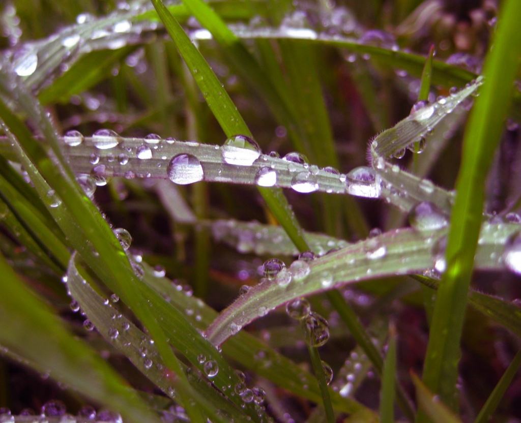Curved Raindrops by filsie65