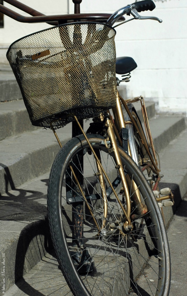 Just for fun: Golden bike  by parisouailleurs