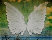 19th Apr 2012 - Have You Earned Your Wings?