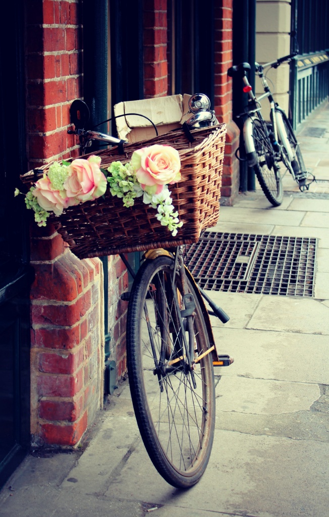Beautiful bicycle basket by judithg
