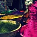 Colours of India by andycoleborn