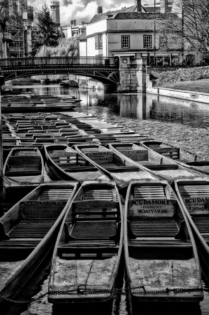 Punts on the Cam by karendalling