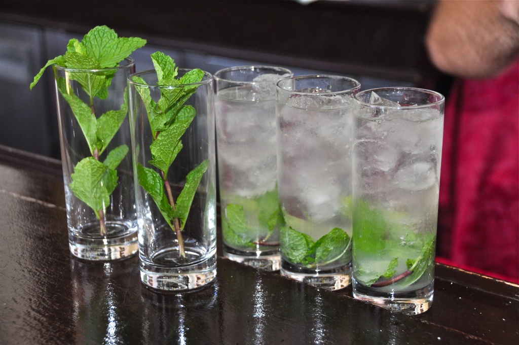 "a mojito a day keeps the doctor away" by cocobella