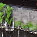 "a mojito a day keeps the doctor away" by cocobella