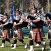 The pipers are piping by peterdegraaff