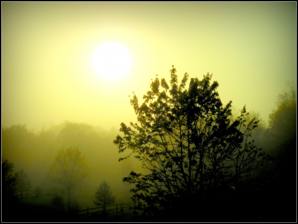 Misty Sunrise by cindymc