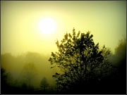 21st Apr 2012 - Misty Sunrise