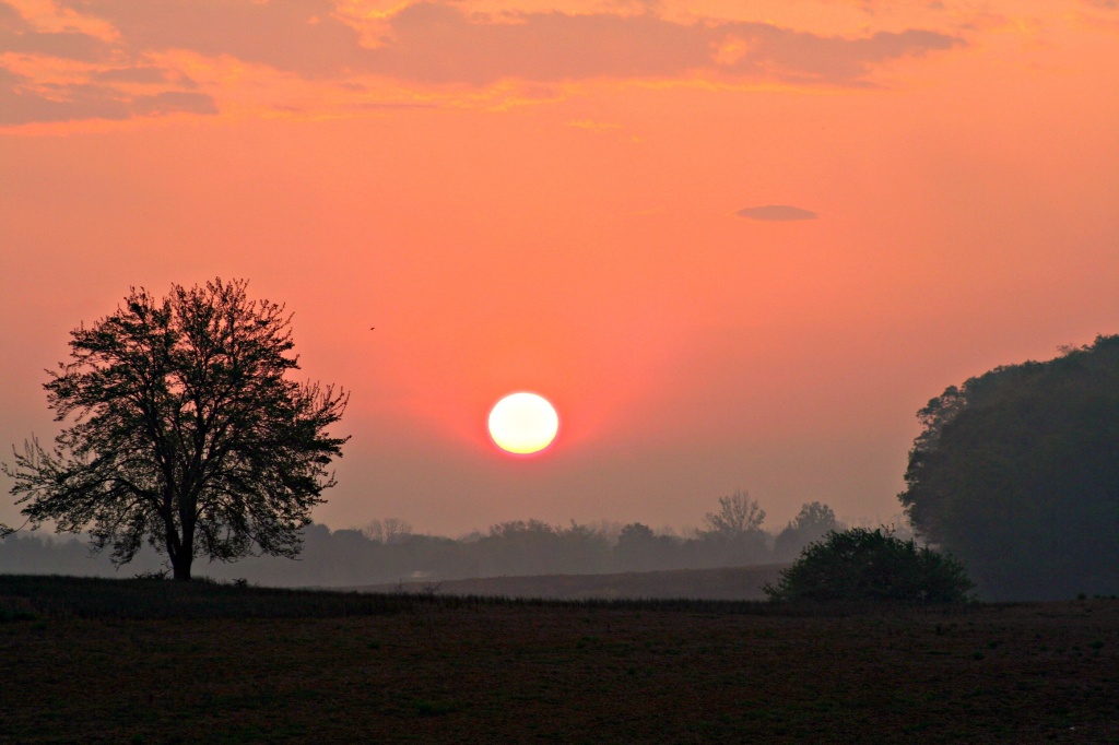 Morning Silhouette by digitalrn