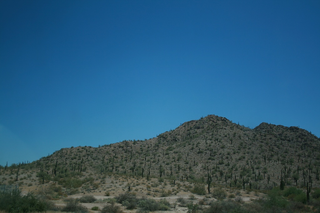 Driving Home from Tucson, Arizona by kerristephens