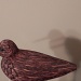Little brown bird by edorreandresen